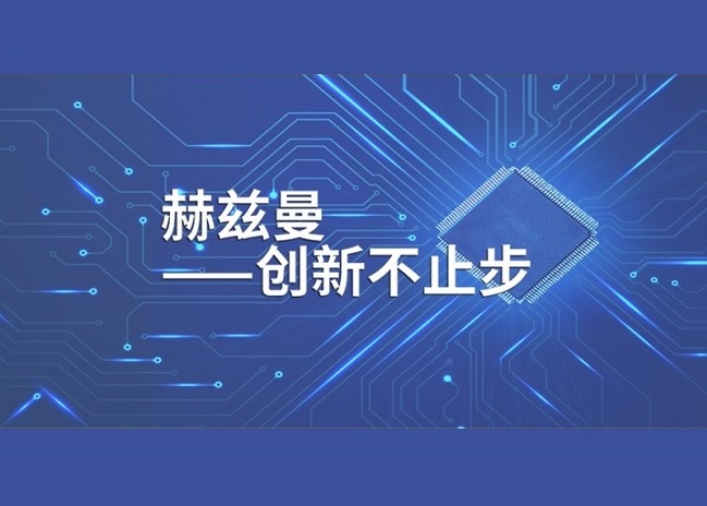 XGN99真空高壓開關(guān)柜「赫茲曼電力」 XGN99真空高壓開關(guān)柜「赫茲曼電力」